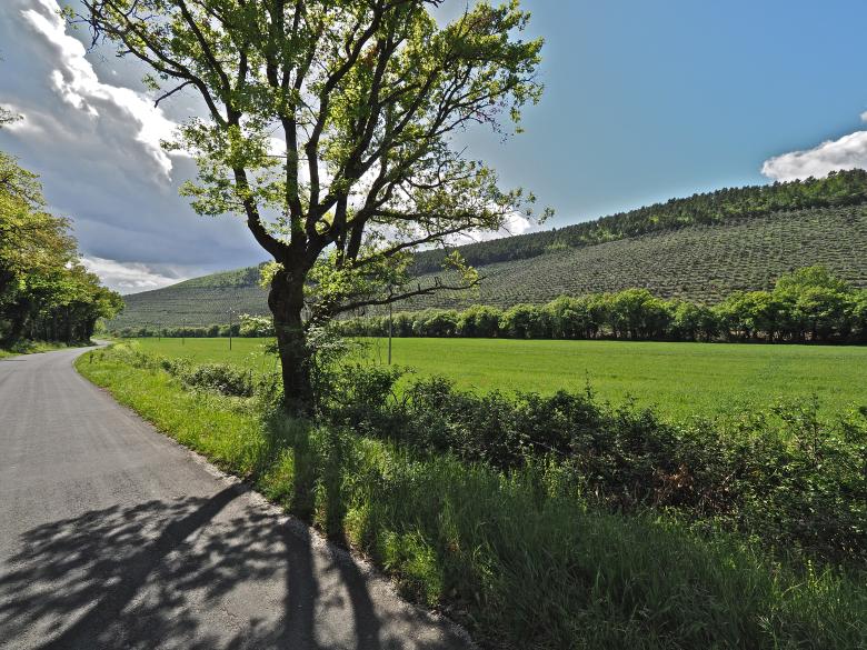 Titolo: Scopri il Territorio